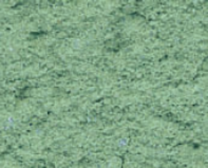 Picture of Parex Revlane + Ignifuge Taloche Fin: 1.0mm 25kg PV40 Emerald Green