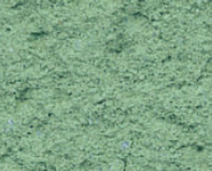 Picture of Parex Revlane Siloxane Taloche Fin: 1.0mm 25kg PV40 Emerald Green