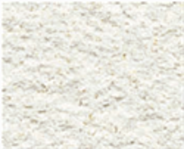 Picture of Parex Revlane Siloxane Taloche Gros: 1.5mm 25kg PG20 Off White